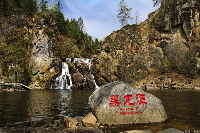 走进兴安岭 欣赏杜鹃花